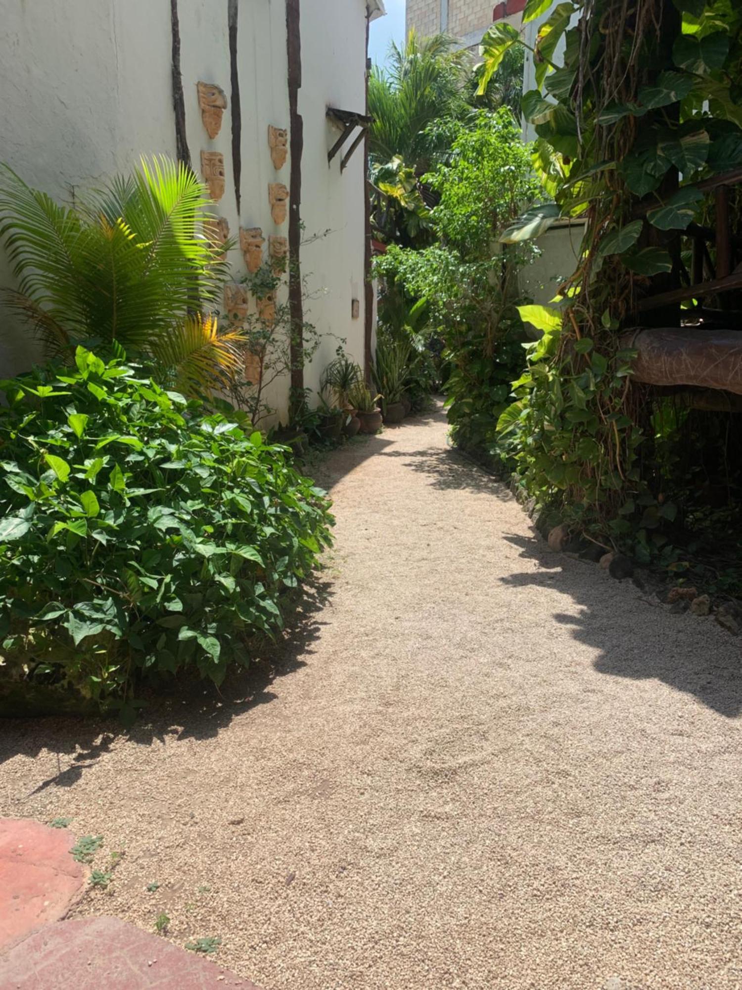 Casa Caribe Cancun Dış mekan fotoğraf A typical alleyway in Tulum