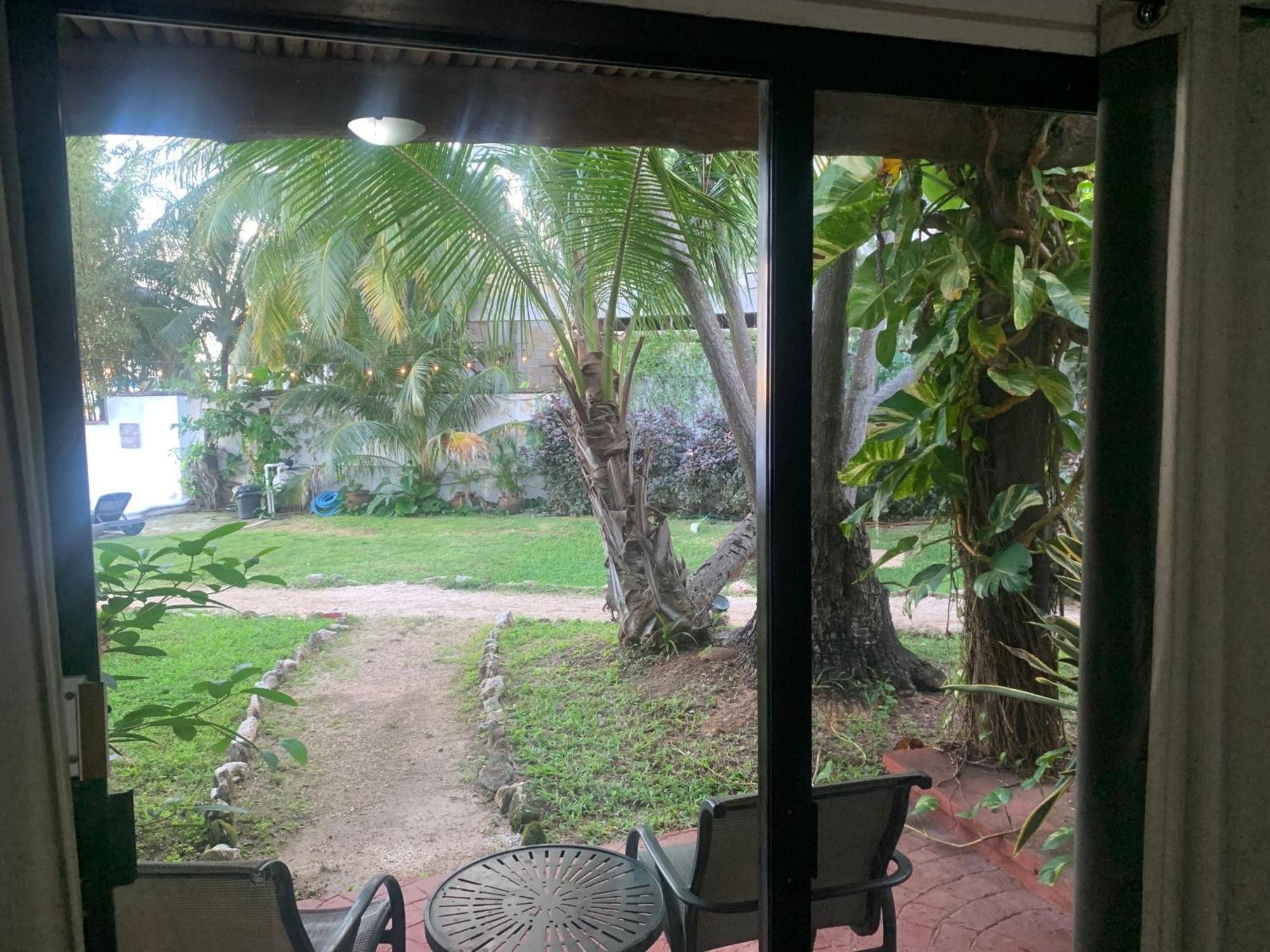Casa Caribe Cancun Dış mekan fotoğraf View of the garden from the living room